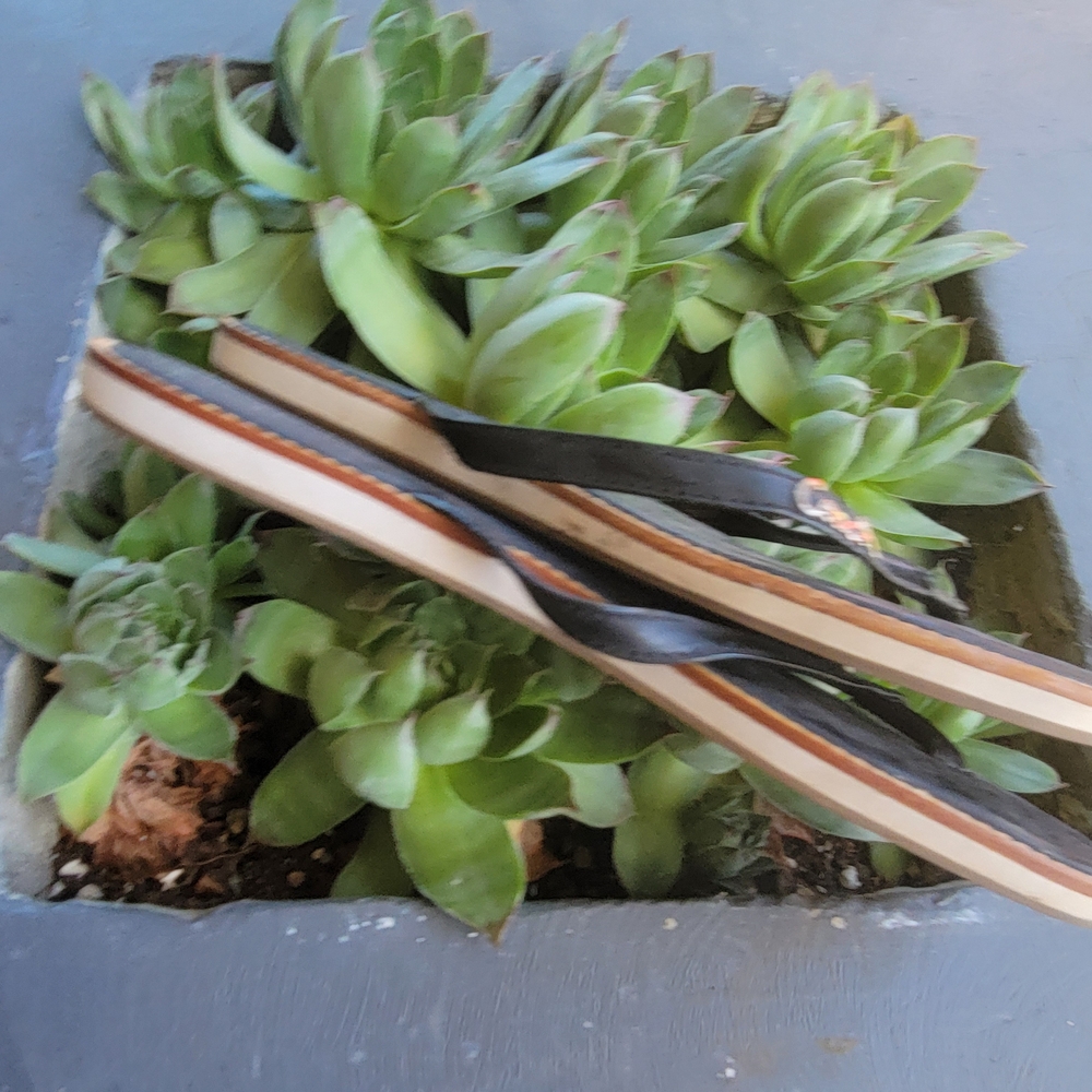 Black Flip Flops - image 3